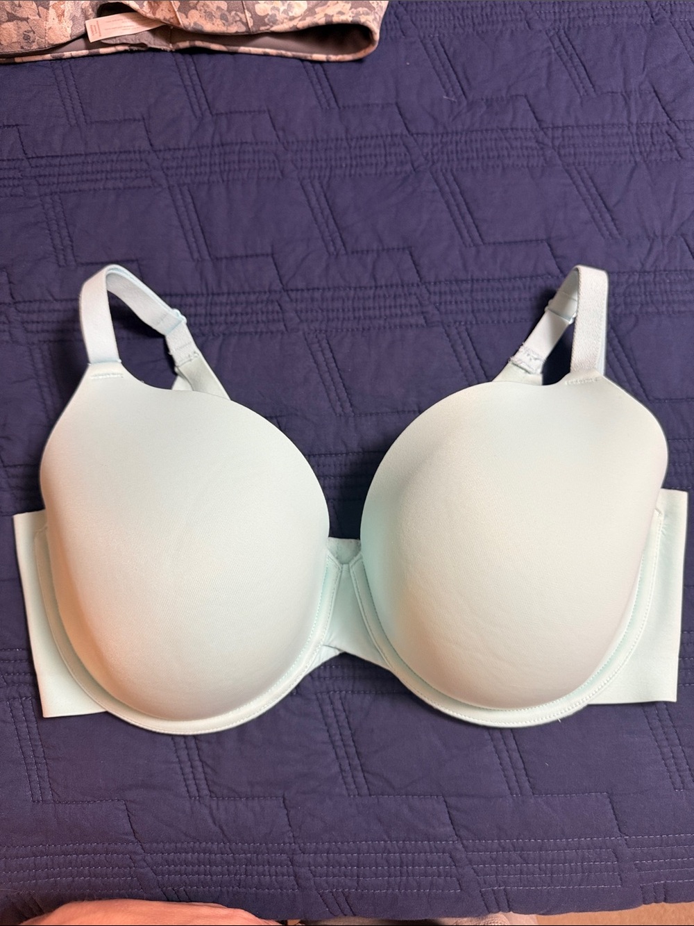 Lane Bryant Light Mint T-Shirt Bra - Women Intimates & Sleepwear 38DDD
